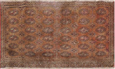 Baluch Brown Hand Knotted 1'9" X 3'7"  Area Rug 134-111135