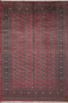Bokhara Red Hand Knotted 6'2" X 9'1"  Area Rug 700-111202