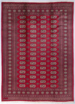 Bokhara Red Hand Knotted 6'10" X 9'4"  Area Rug 700-147935