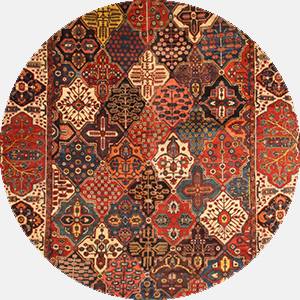 Multicolor Rugs rugs
