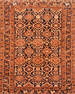 Taleghan Rugs rugs