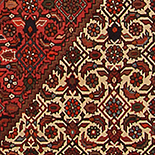 Herati Rugs rugs