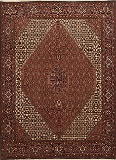 Persian Bidjar Red Rectangle 8x11 ft Wool Carpet 10986