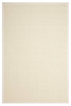 Nourison Brilliance Beige Rectangle 4x6 ft Sisal Carpet 100914