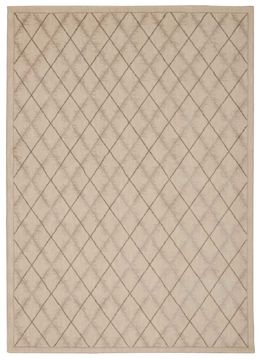 Nourison TRANQUILITY Beige Rectangle 4x6 ft nylon Carpet 104645