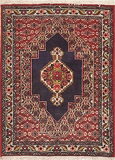 Sanandaj Red Hand Knotted 2'7" X 3'6"  Area Rug 100-11960