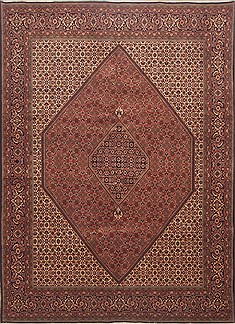 Persian Bidjar Red Rectangle 8x11 ft Wool Carpet 12349