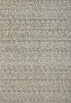 Dynamic COASTAL Grey Rectangle 4x6 ft Polypropylene Carpet 120650