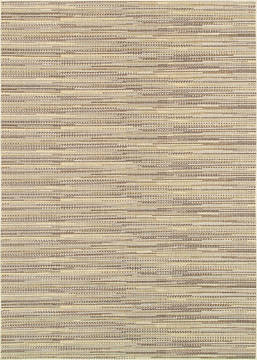 Couristan MONACO Brown Rectangle 6x9 ft Polypropylene Carpet 127230