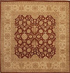 Indian Agra Beige Square 9 ft and Larger Wool Carpet 13294