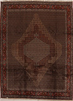 Persian Sanandaj Multicolor Rectangle 8x11 ft Wool Carpet 14926