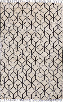 Moroccan White Hand Knotted 4'1" X 6'3"  Area Rug 700-140040