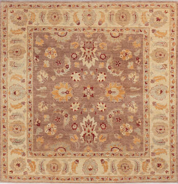 Pakistani Chobi Brown Square 7 to 8 ft Wool Carpet 143449