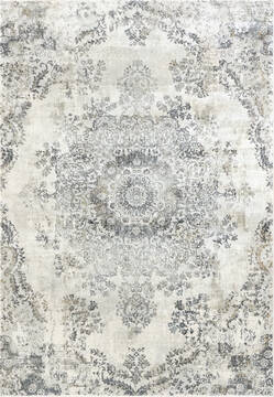 Dynamic CASTILLA Grey Rectangle 2x4 ft  Carpet 143860
