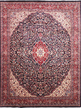 Indian Mahi Blue Rectangle 9x12 ft Wool Carpet 145270