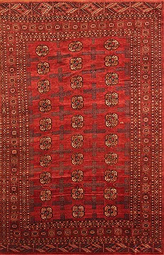 Afghan Bokhara Red Rectangle 7x10 ft Wool Carpet 19321