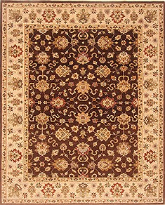 Indian Agra Brown Rectangle 8x10 ft Wool Carpet 21515