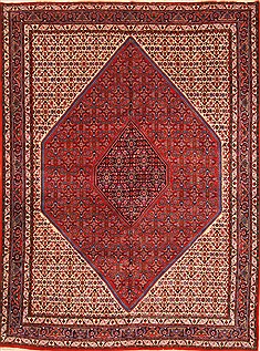 Persian Bidjar Red Rectangle 8x11 ft Wool Carpet 30312