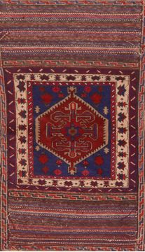 Baluch Blue Hand Knotted 3'0" X 4'7"  Area Rug 100-89796