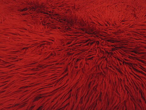Gabbeh Red Flat Woven 45 X 80  Area Rug 100-110051 Image 5