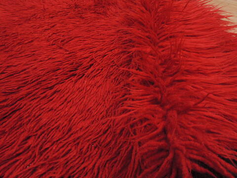 Gabbeh Red Flat Woven 45 X 80  Area Rug 100-110051 Image 6