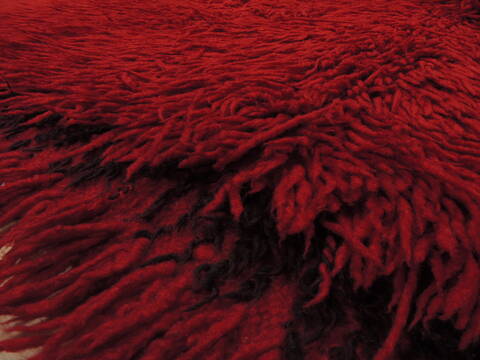 Gabbeh Red Flat Woven 45 X 80  Area Rug 100-110051 Image 7