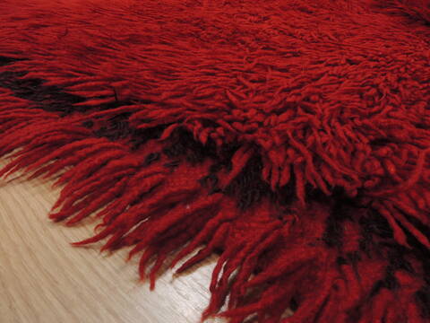 Gabbeh Red Flat Woven 45 X 80  Area Rug 100-110051 Image 8