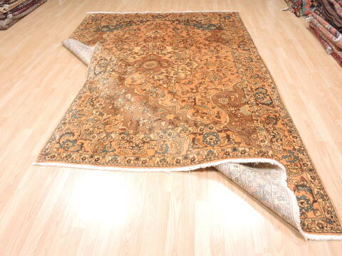 Bakhtiar Beige Hand Knotted 68 X 104  Area Rug 100-110929 Image 8