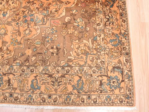 Bakhtiar Beige Hand Knotted 68 X 104  Area Rug 100-110929 Image 9