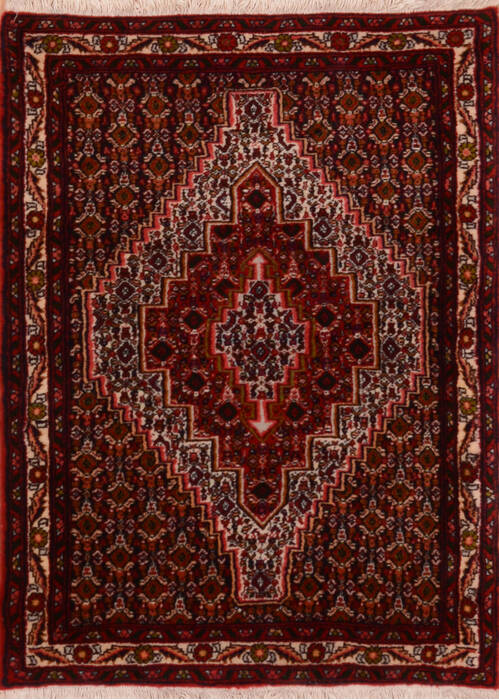 Sanandaj Red Hand Knotted 24 X 37  Area Rug 100-111978 Image 0