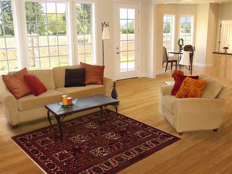 Hamedan Red Hand Knotted 55 X 72  Area Rug 251-12463 Image 5