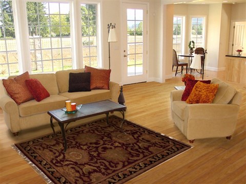 Agra Red Hand Knotted 41 X 62  Area Rug 251-12923 Image 5