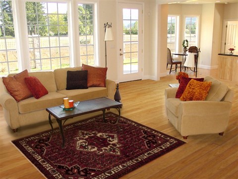 Hamedan Red Hand Knotted 53 X 69  Area Rug 251-13324 Image 5