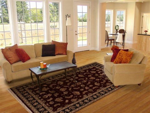 Sino-Persian Red Hand Knotted 59 X 89  Area Rug 251-14106 Image 4