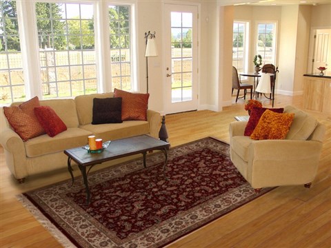 Sino-Persian Red Hand Knotted 60 X 90  Area Rug 251-14111 Image 4
