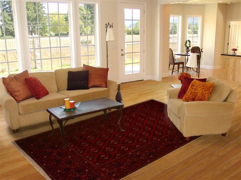 Khan Mohammadi Red Hand Knotted 80 X 110  Area Rug 251-14176 Image 4