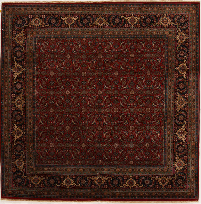Herati Red Square Hand Knotted 80 X 80  Area Rug 251-14309 Image 0