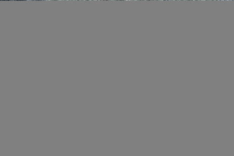 Shaggy Grey Shaggy 40 X 60  Area Rug 902-143398 Image 2