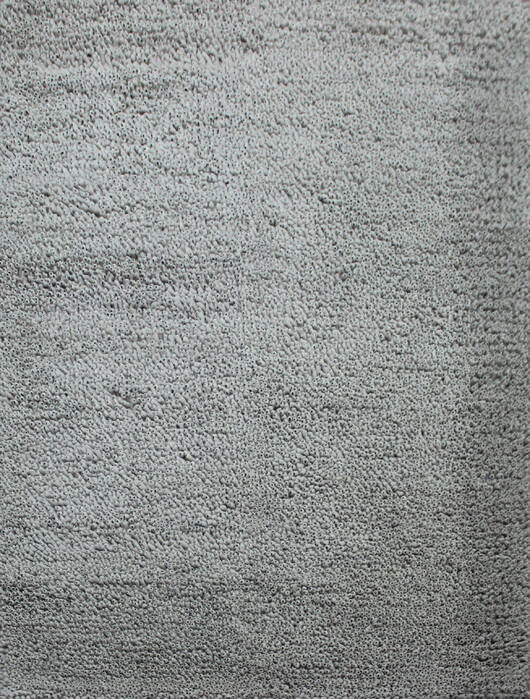 Shaggy Beige Shaggy 46 X 61  Area Rug 902-143401 Image 0