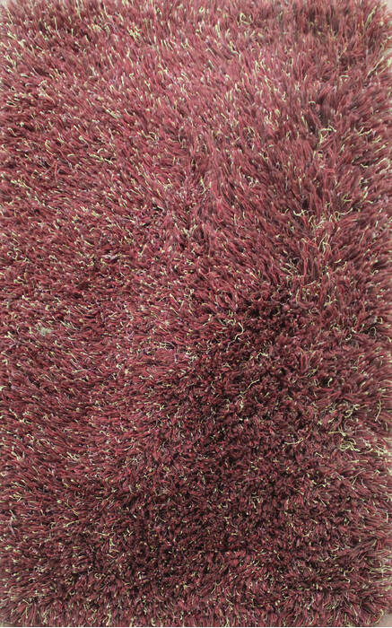 Shaggy Red Shaggy 26 X 40  Area Rug 902-143498 Image 0
