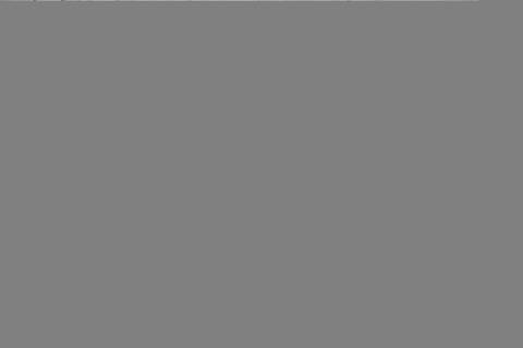 Shaggy Grey Shaggy 58 X 80  Area Rug 902-143504 Image 2