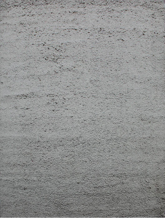 Shaggy Grey Shaggy 58 X 80  Area Rug 902-143504 Image 0