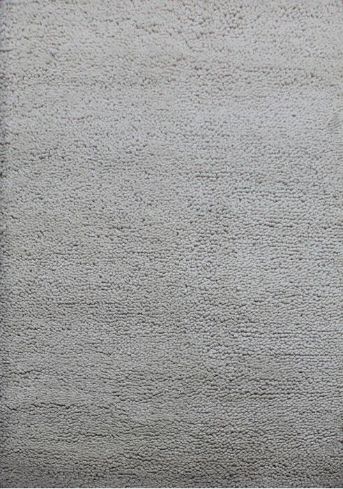 Shaggy Grey Shaggy 46 X 66  Area Rug 902-144894 Image 0
