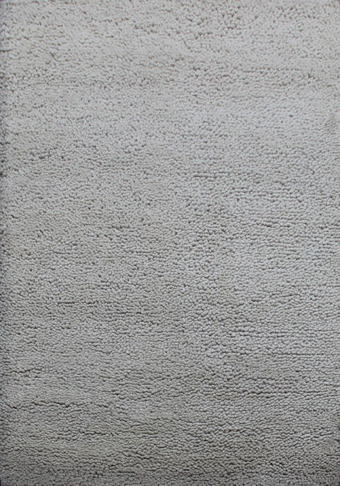 Shaggy Beige Shaggy 55 X 79  Area Rug 902-144895 Image 0