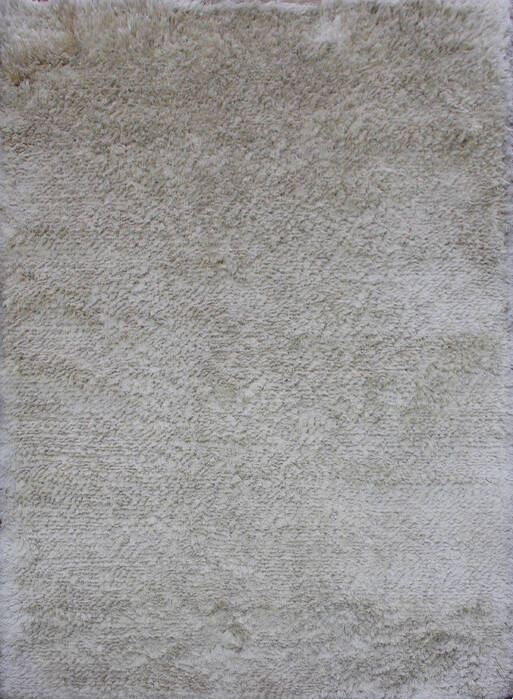 Shaggy Beige Shaggy 46 X 66  Area Rug 902-144898 Image 0