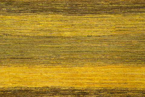 Gabbeh Yellow Hand Knotted 60 X 95  Area Rug 700-145510 Image 3