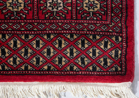 Bokhara Red Runner Hand Knotted 27 X 911  Area Rug 700-147268 Image 3