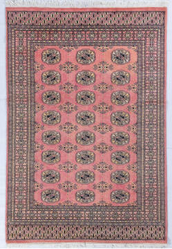 Bokhara Red Hand Knotted 4'1" X 5'11"  Area Rug 700-148068