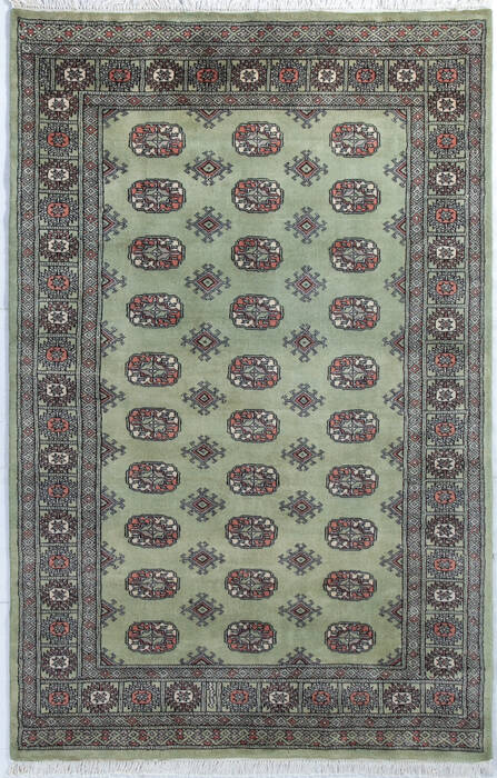 Bokhara Green Hand Knotted 41 X 64  Area Rug 700-148194 Image 0