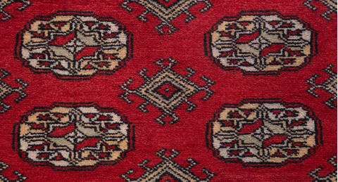Bokhara Red Hand Knotted 51 X 79  Area Rug 700-156771 Image 5